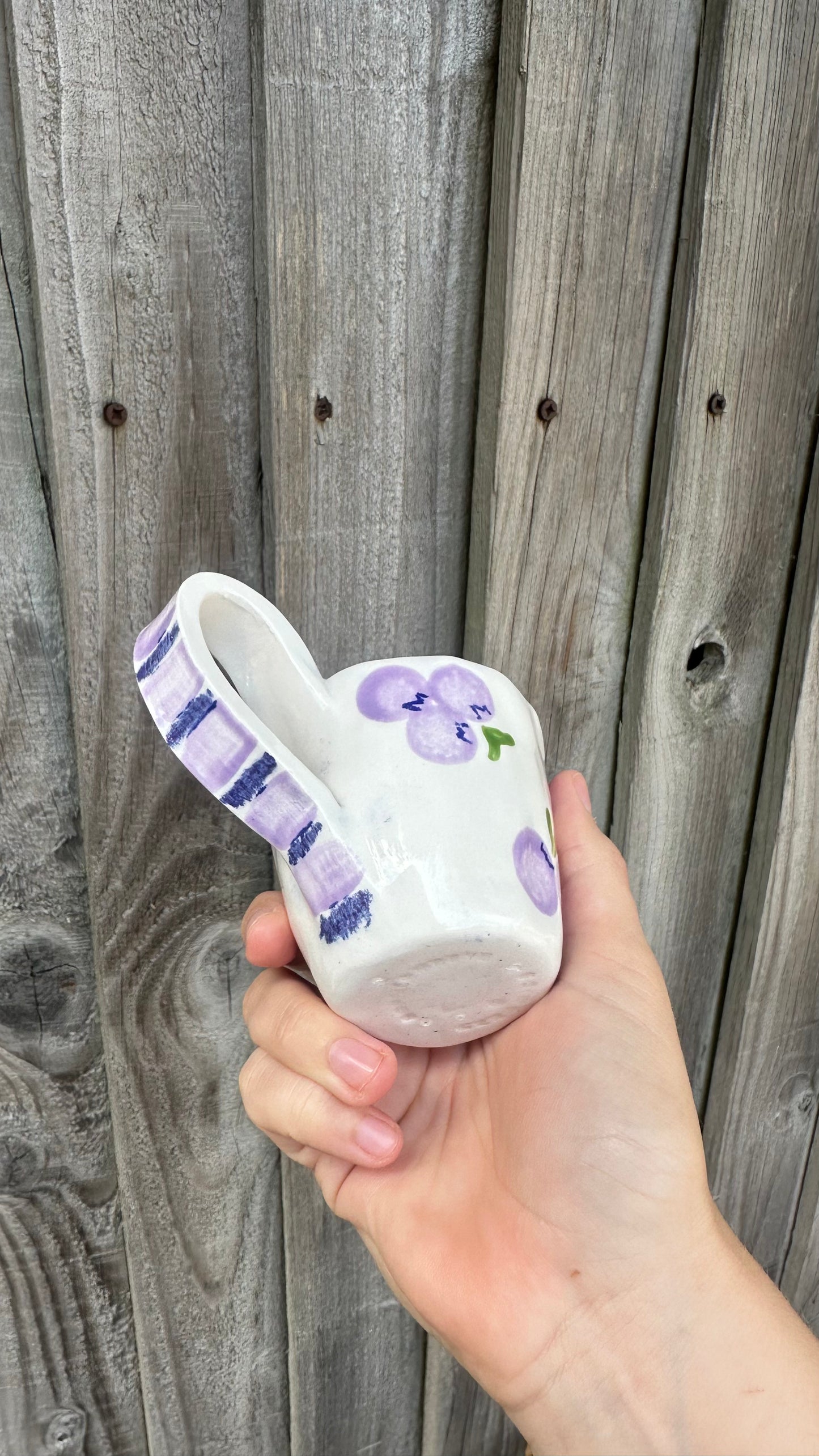 Blueberry Breakfast Set