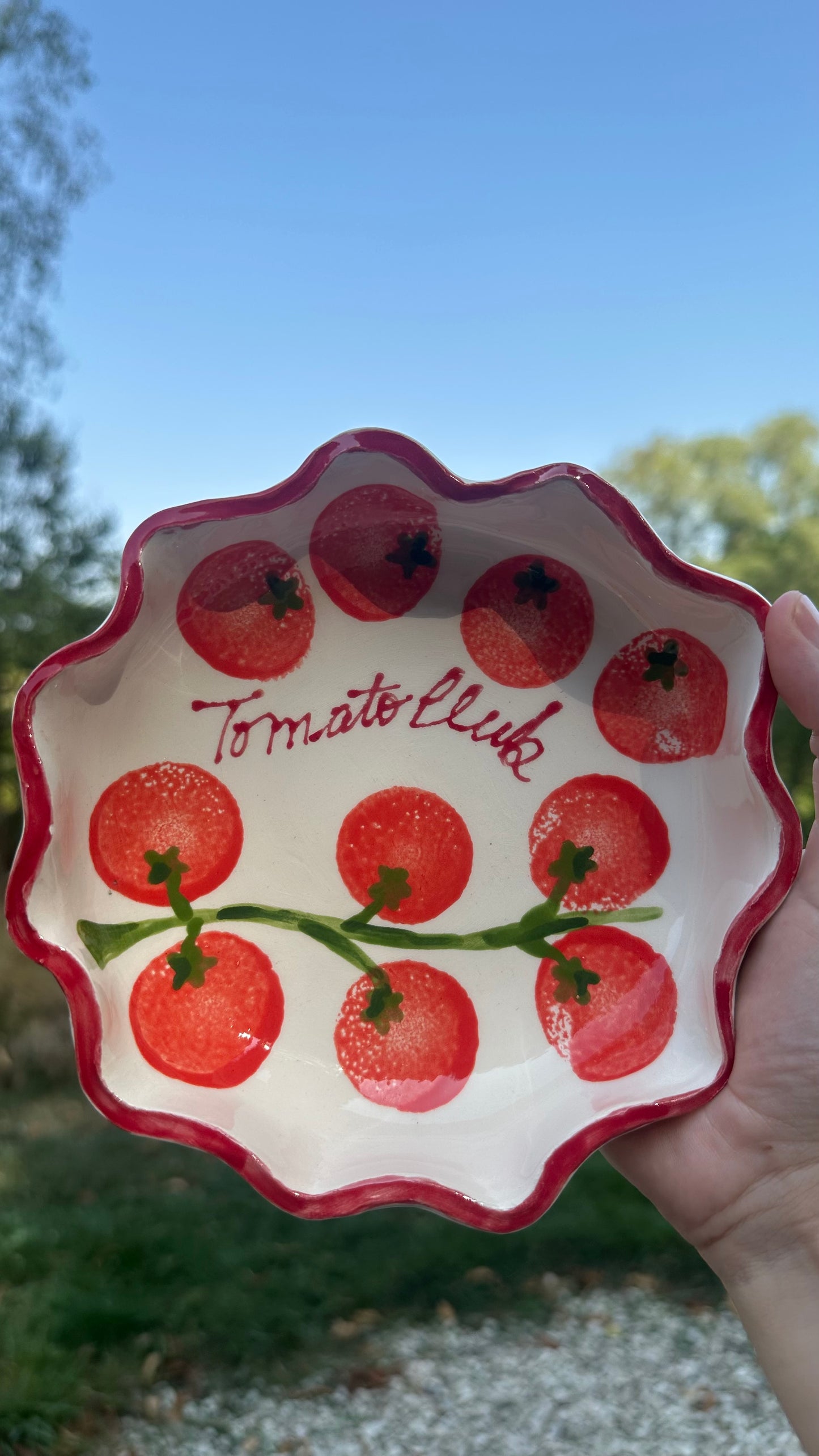 Handcrafted tomato dish
