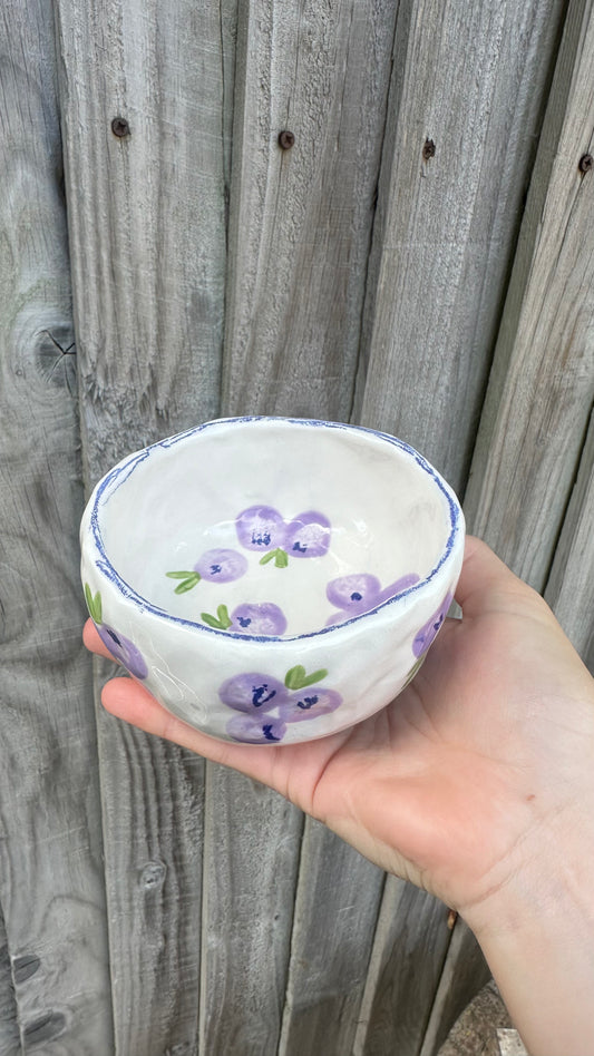 Blueberry breakfast bowl