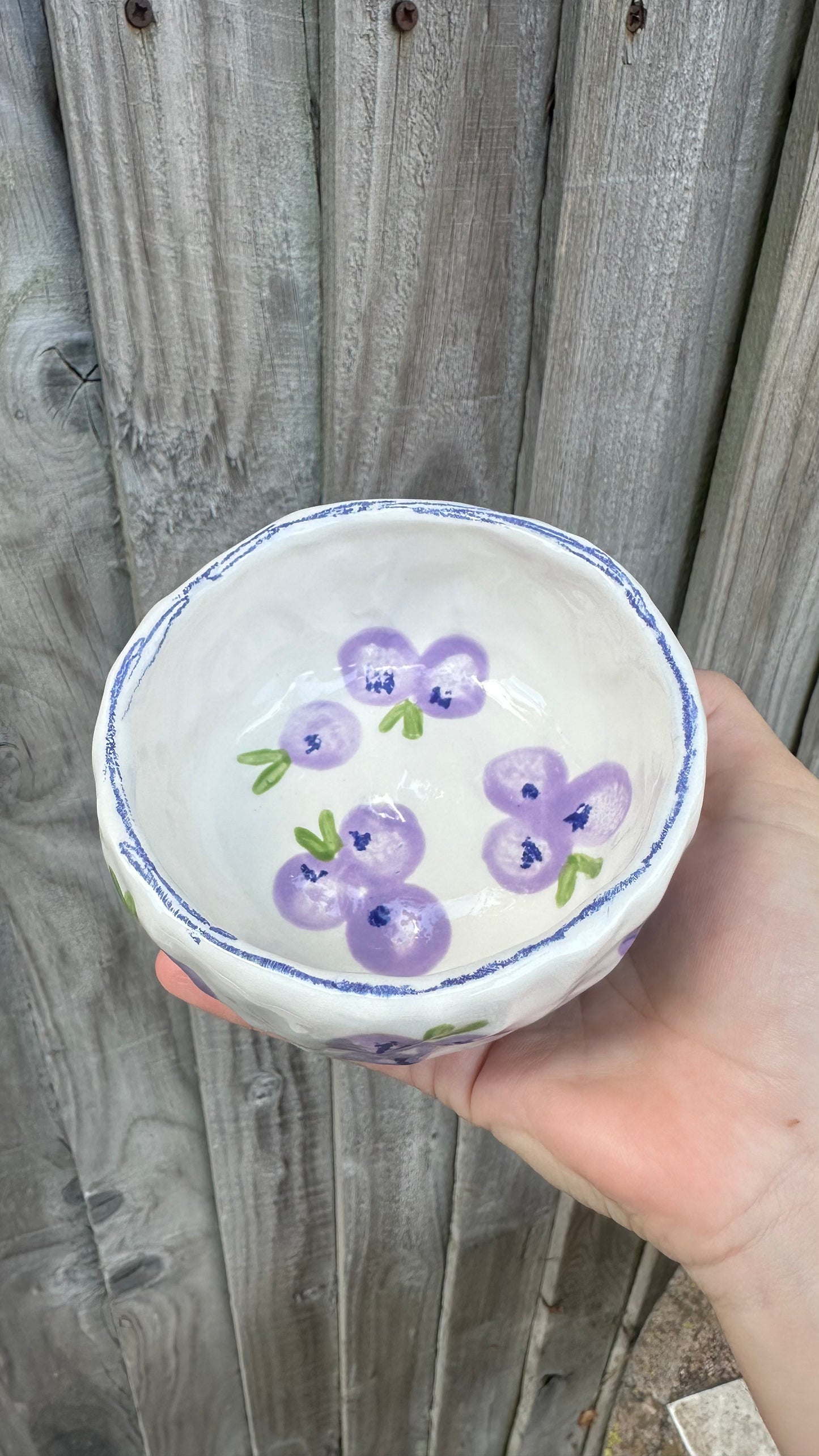 Blueberry Breakfast Set